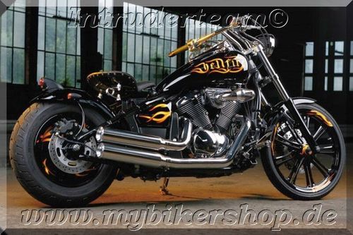Exhaust system "Mustang" VN900 Classic & Custom