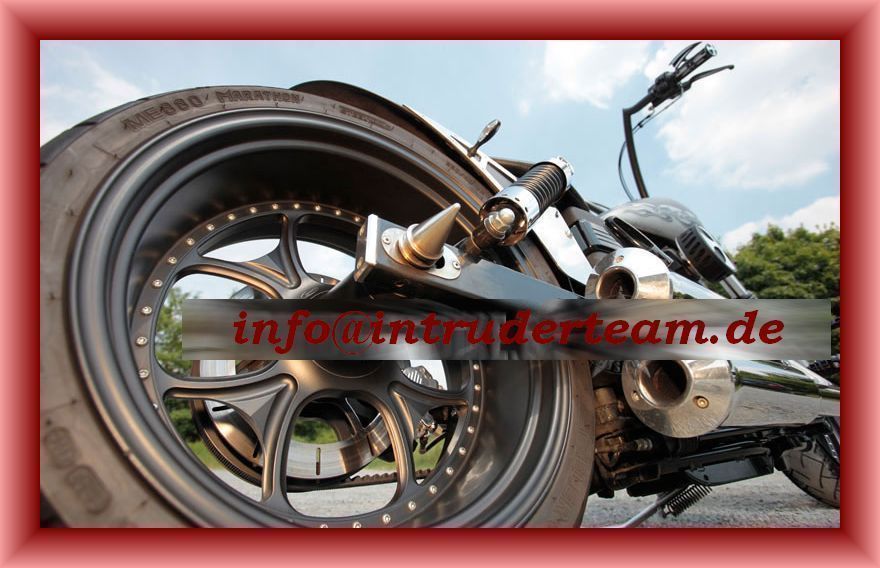 Boltcover SPIKE Alu polished Ø29mm  Intruder Honda Yamaha Harley Kawasaki